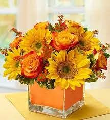 Gainesville is also known as: Modern Enchantment Arrangement In Gainesville Fl Prange S Florist