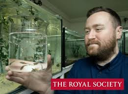 Press — Dr Michael Bertram