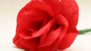 Un'idea semplice e originale per sorprendere i vostri ospiti a tavola! Come Fare Fiori Di Carta Semplici Fiore Di Carta Crespa E Velina Come Fare Online