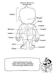 Please copy, print, share in anyway that can encourage all the brave workers in healthcare. 14 Medical Coloring Pages Ideas Coloring Pages Anatomy Coloring Book Coloring Books