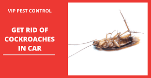 Regarding how to get rid of roaches, you must know the places to find roaches in your car. 5 Quickest Ways To Get Rid Of Cockroaches In Car 2020
