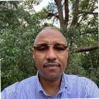 IBRAHIM Abdel Rahman