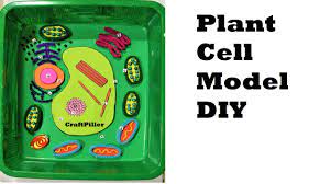 Plant Cell Model Using Waste Materials At Home Diy At Home Craftpiller Youtube