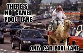 I know you've all seen that geico happier than a camel on hump day commercial, a classic. Hump Day Camel Memes Gifs Imgflip