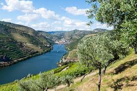 The Way Of Port A Passion For The Vine In Portugal S Alto Douro Anita S Feast Portugal Cultural Landscape Douro Valley