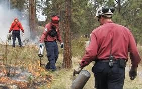 Information on many aspects of forest fires. Bc Wildfire Service To Conduct Large Prescribed Burns Near Kimberley And Skookumchuck My East Kootenay Now