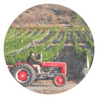 767 likes · 62 talking about this. Home The Wine Capital Of Canada Oliver Tourism