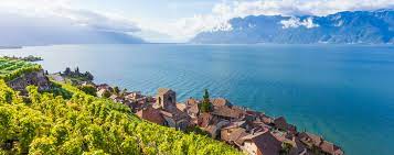 Mount saleve, near the bottom of the image, represents the northern foothills of the range. Lake Geneva Vaud Travel Switzerland Europe Lonely Planet