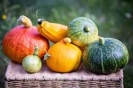 Hay tantos usos para la calabaza en la cocina como variedades de la misma. La Calabaza De Temporada Y Sus Tipos Caracteristicas Propiedades Y Como Cocinar La Hortaliza Reina Del Otono