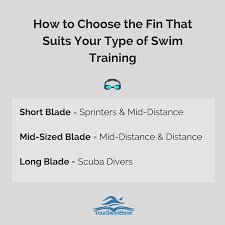 Swim Fins Everything You Ever Wanted To Know About Training With Flippers