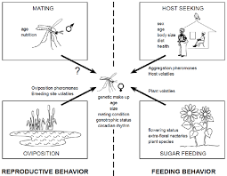 The identification and classification of insect pheromones were reviewed in this paper,including the mechanism of chemical communication of insect pheromones.the application of insect pheromones was also explored in the integrated pest management. Semiochemicals Pest Management