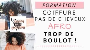 C'est officiel, l'école de paris, la première école consacrée aux cheveux frisés, bouclés et crépus ouvrira ses portes fin octobre. Formation Coiffure Cheveux Afro Non Trop De Boulot