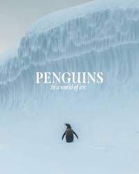 Jonas Fellenstein (@furstonetravels) • Instagram photos and videos