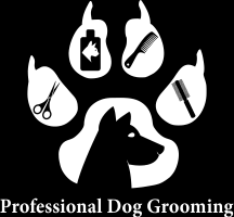 Check spelling or type a new query. American Academy Of Pet Grooming School Grooming Store And Daycare