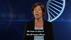 De sutter was raised in oudenaarde, in east flanders. Interview With Petra De Sutter On Genetics Youtube
