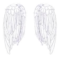 Bad news is you are not able to draw an anatomically correct dragon wing. Wings Folded By Kaetiane On Deviantart