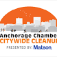 Citywide Cleanup