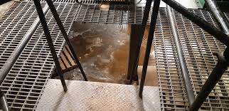 Explore, complete puzzles, and avoid the horrific creatures roaming the tunnels as you learn more about the world and its strange inhabitants. What S Behind The Basement Door Album On Imgur