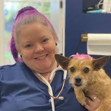 Low Stress Best: House Sitting