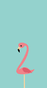Фламинго обои на телефон