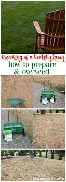 If you're going to use a weed killer. How To Prepare And Overseed Your Lawn The Happy Housie