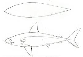 Create unique edits by stretching pixels. How To Draw A Shark Step By Step Adobe
