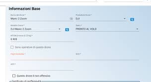 Transform clients' projects into significant events that will help them to solve many business problems. Requirements For Flying Drones In Italy Dji Forum