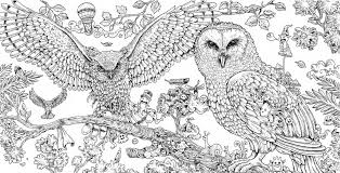 Animorphia Owls Jpg 2410 1230 Animal Coloring Books Zoo Animal Coloring Pages Bird Coloring Pages