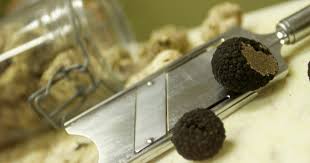 Photo Du Ruffus à la truffe : Le Vignoble des Agaises explore une nouvelle ...