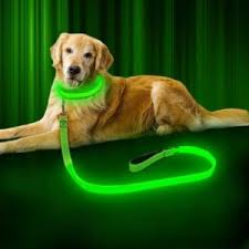The 25 Best Led Dog Leashes Of 2020 Pet Life Today