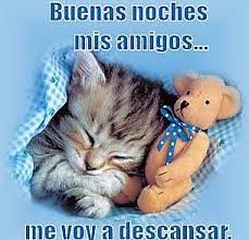 Pin En Gatos Con Frases