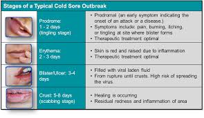 The blister appears in stage 2, bursts and oozes in stage 3, dries out and scabs over in stage 4, and the scab falls off and heals in stage 5. Cspa Skin Conditions And Diseases