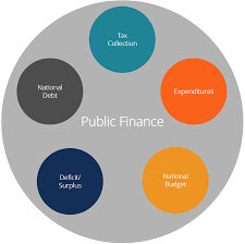Our online definition dictionary will help you to locate definitions for many tricky words. Public Finance Overview Example How Government Finance Works