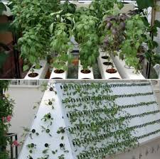 Maybe you would like to learn more about one of these? Aeroponic System Benefits Components A Full Guide Gardening Tips