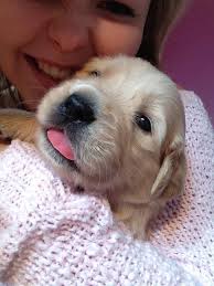 Dolly with her little 'protector', Dylan,