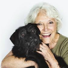 Pet owners beware: Leaving Bear or Boo-Boo in the car could cost you