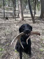 New Guy from Montana