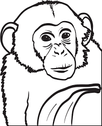Chimpanzee coloring page from madagascar coloring pages is perfect for kids, who will appreciate it. Printable Chimpanzee Coloring Page For Kids Supplyme