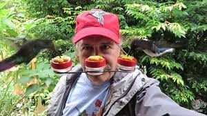 Hummingbird Feeder Hat Provides A Fantastic Birdwatching Experience