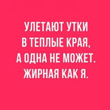 ку ку ку ку ку ку ку ку ку ку Kartinki Po Zaprosu Ku Ku Ya Tut Kartinki Kartinki Nadpisi Yumor