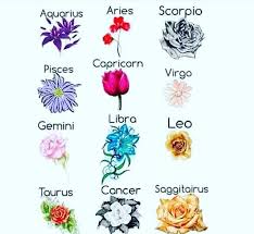Yes I Love The Libra Flower Libra Zodiac Sign Fashion Zodiac Signs Zodiac Sign Tattoos