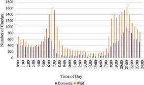 Different reports state that around 1 million animals are abused each year because of. Animal Vehicle Collisions In Texas How To Protect Travelers And Animals On Roadways Sciencedirect