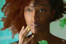 Annotated Bibliography : Biracial Identity