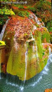 Search free cascada bigar ringtones and wallpapers on zedge and personalize your phone to suit you. Poze Cascada BigÄƒr Cheile Nerei Bozovici Cs Amfostacolo