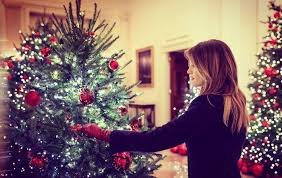 We did not find results for: Melania Trump Decorated The White House With Blood Trees And People Think They Are Spooky Af