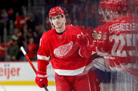 He has played 28 games this season and has occupied space on detroit's no. Red Wings Filip Zadina Keeps Rising To The Occasion