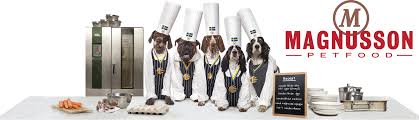 MAGNUSSON
