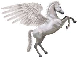 Download the pegasus.apk on your device · step 2: Download Pegasus Free Download Hq Png Image Freepngimg