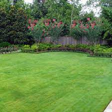 I planted a crape myrtle in our backyard last fall to take the place of our redbud tree that died. Crepe Myrtle Landscaping Houzz