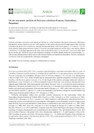 Image result for Panicum pectinellum